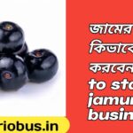 How to start jamun business