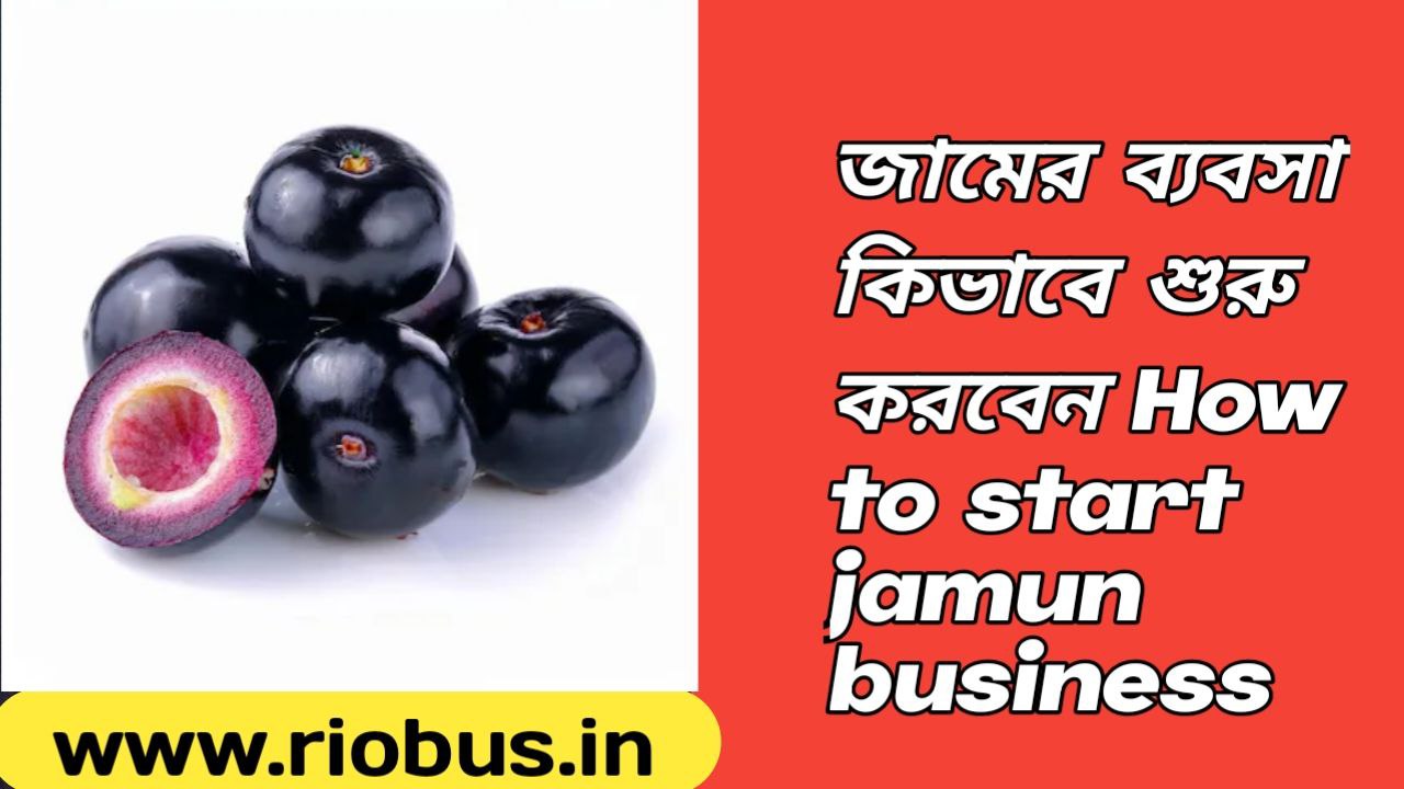 How to start jamun business