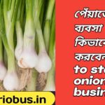 How to start onion business