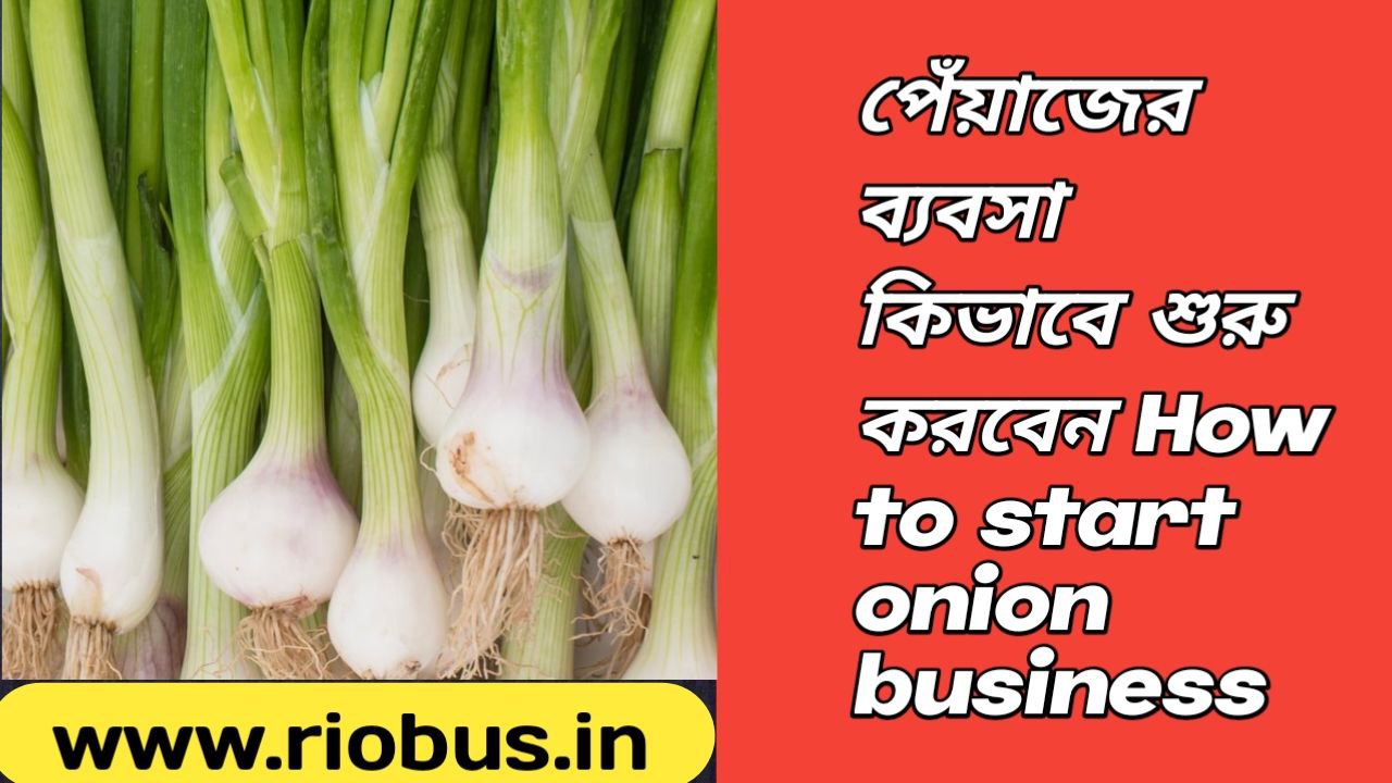 How to start onion business