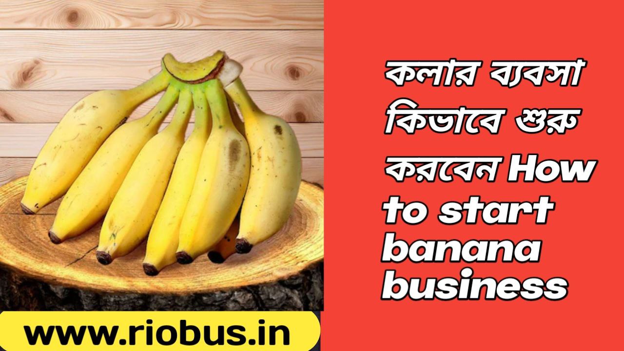 How to start banana business