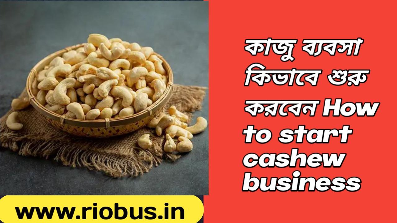 How to start cashew business