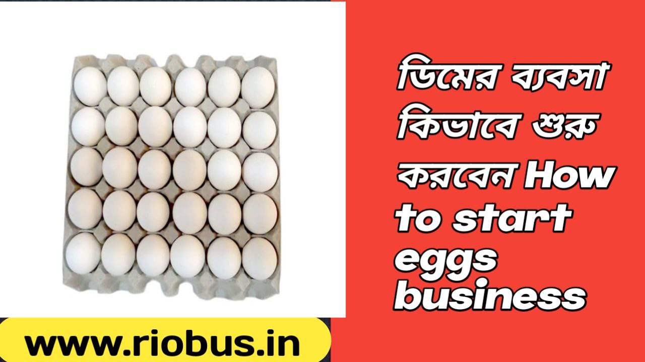 How to start eggs business